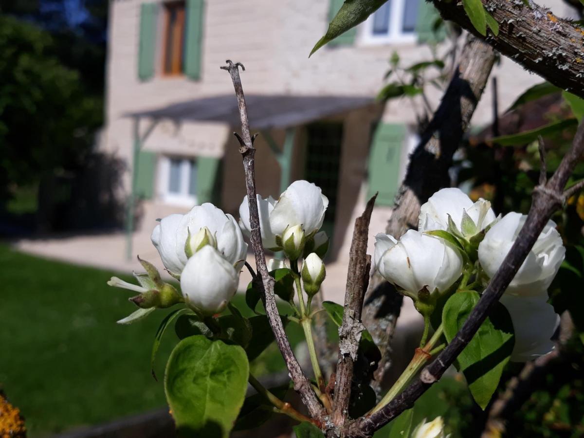 Gite Des Gravets Sigalens ภายนอก รูปภาพ